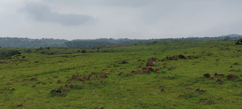 Industrial Land Categories and Pricing in Talegaon